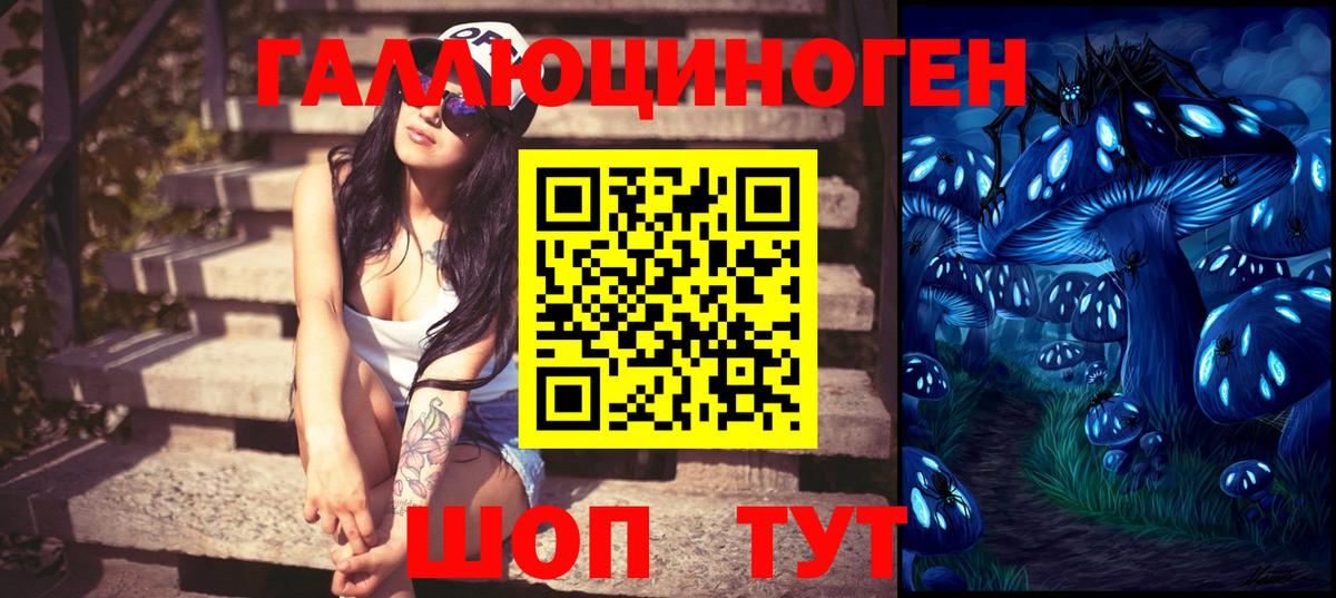 Коряжма  Псилоцибиновые грибы Psilocybine cubensis  Вход с VPN 
