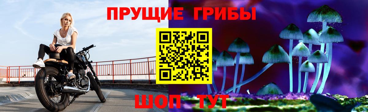 Меф мяу мяу Коряжма